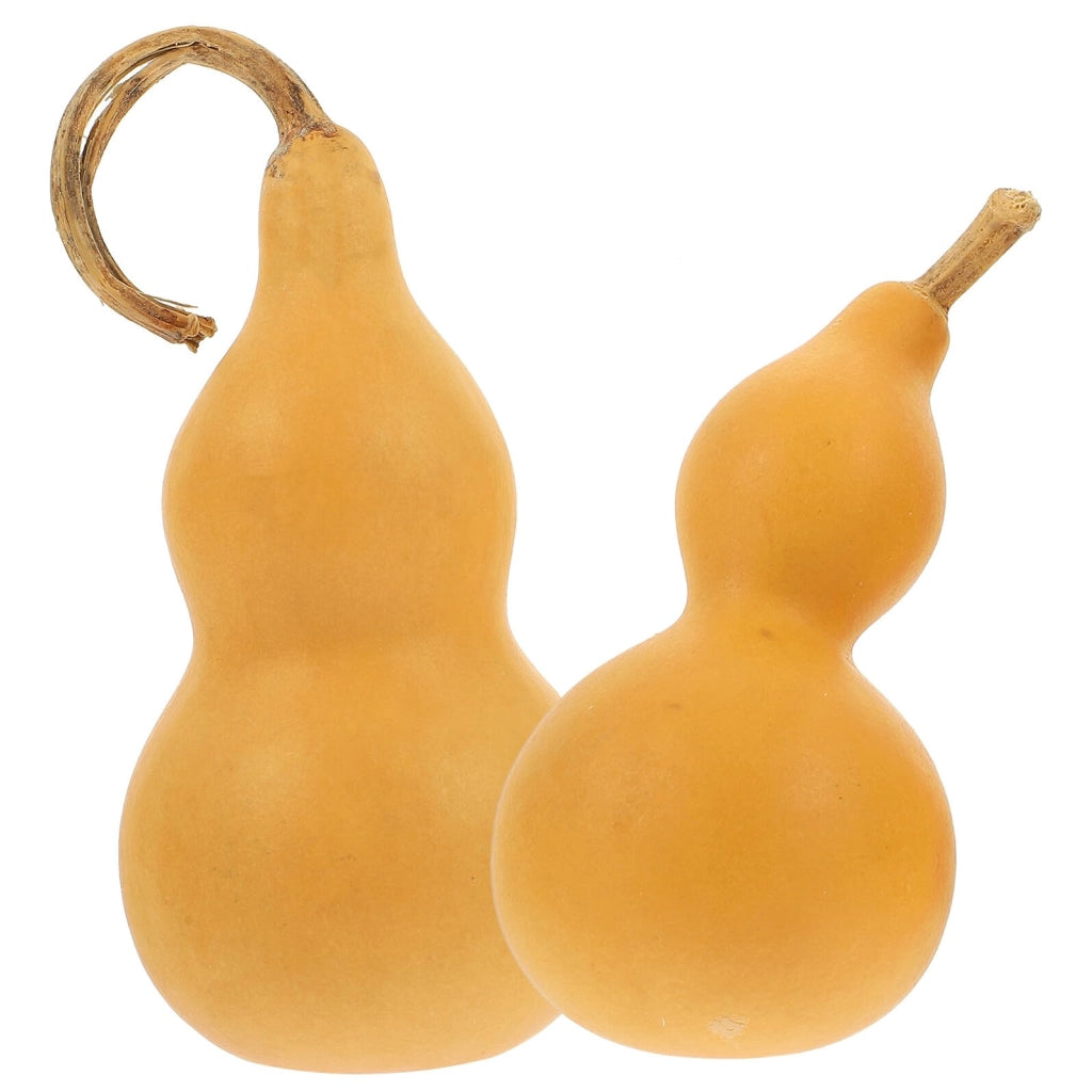 Set di 2 zucche decorative artigianali, pressate, alte 9-14 cm, ideali per la decorazione della tavola