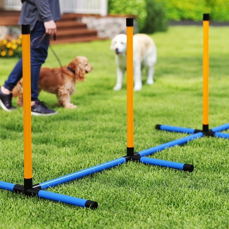 Set agility per cani con ostacolo, cerchio e pali da slalom blu