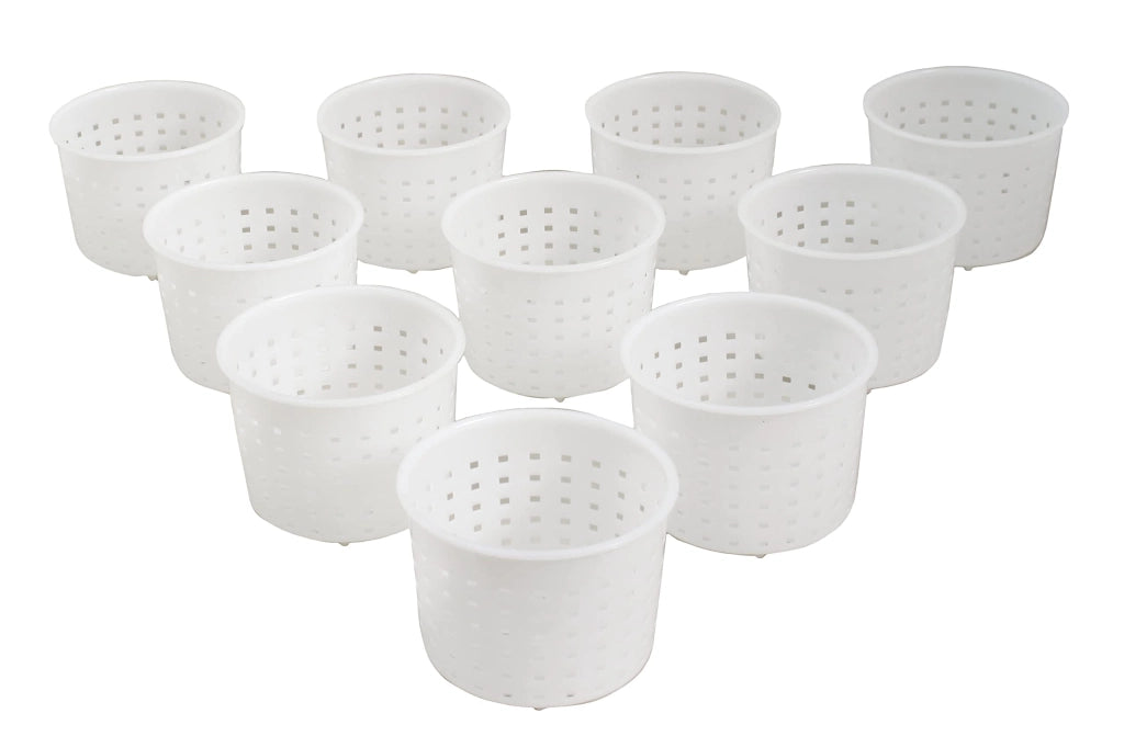 Set di formine per formaggio, 10 pezzi, capacità 300 ml, forma rotonda, in polistirolo, colore bianco