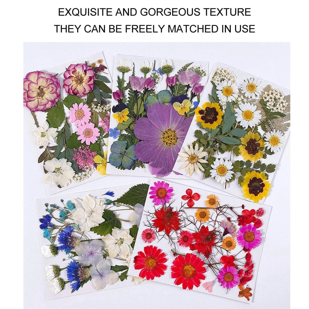 Fiori pressati, 100 pezzi, ideali per progetti fai-da-te, scrapbooking e artigianato