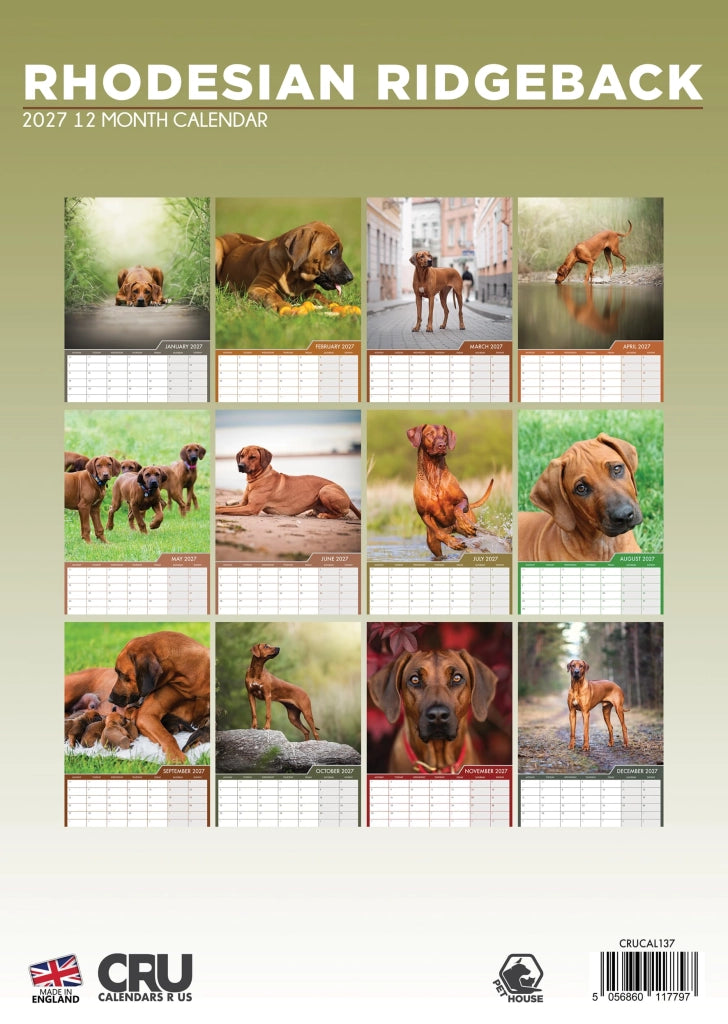 Calendario Rhodesian Ridgeback 2027, A3, Colori, Rilegatura a spirale