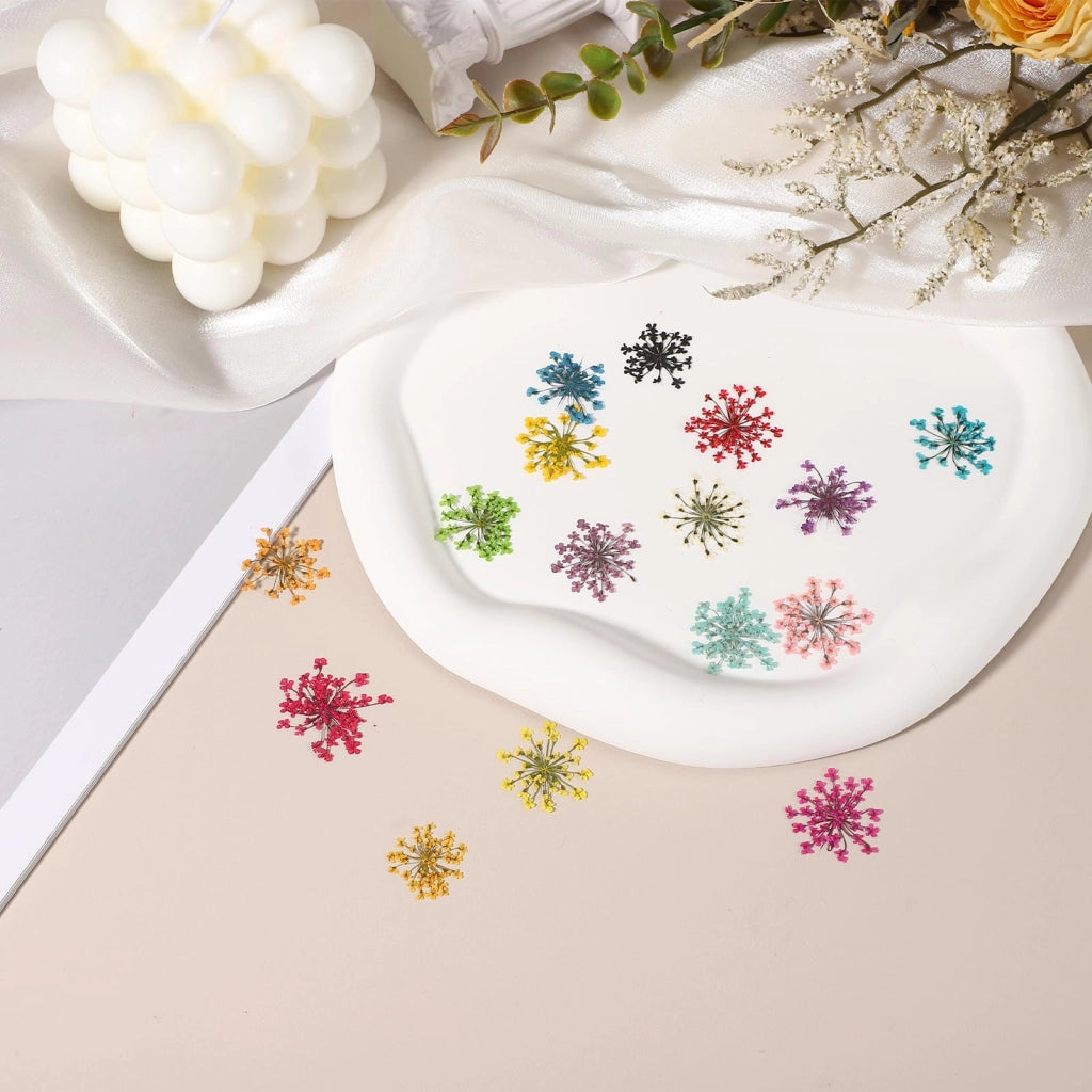 Fiori secchi e pressati, 24 pezzi, di colore verde, dimensioni 2-2,5 cm