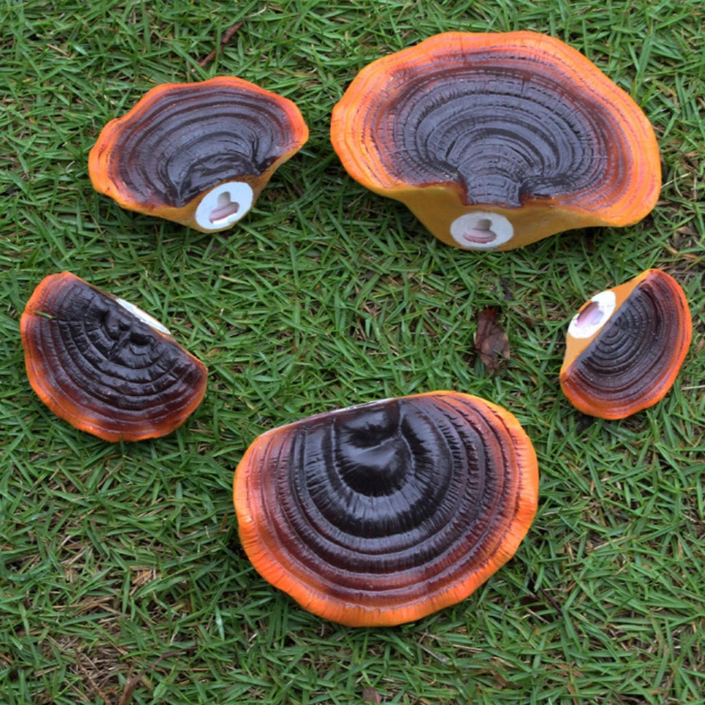 Set di 5 mensole a forma di fungo, in resina, artificiali, tipo Mini-Reishi, per cortile e giardino