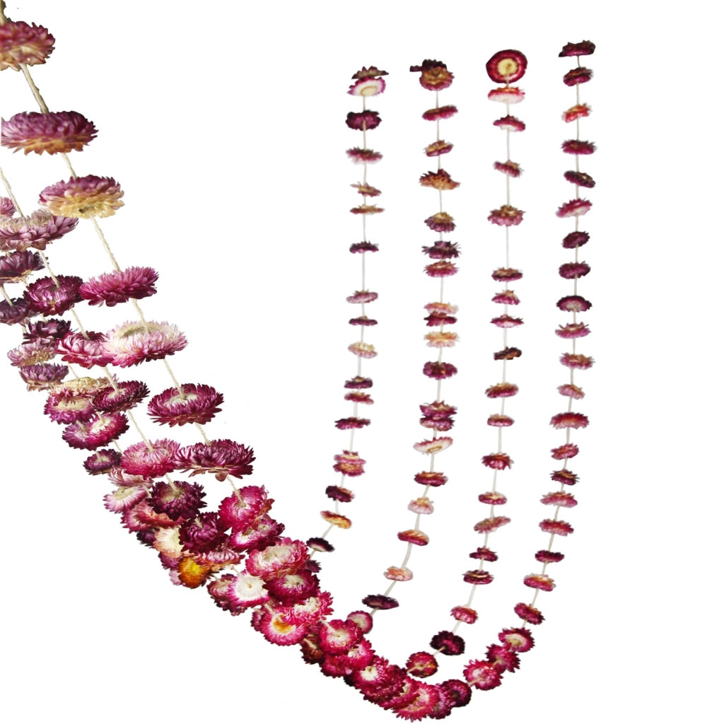 Catena di fiori di crisantemo essiccati, 63 pezzi, color viola, lunghezza 320 cm