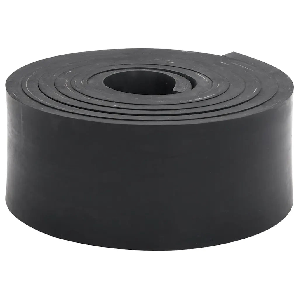 Bordo in Gomma per Spazzaneve Nero 250x8x1 cm 4103515