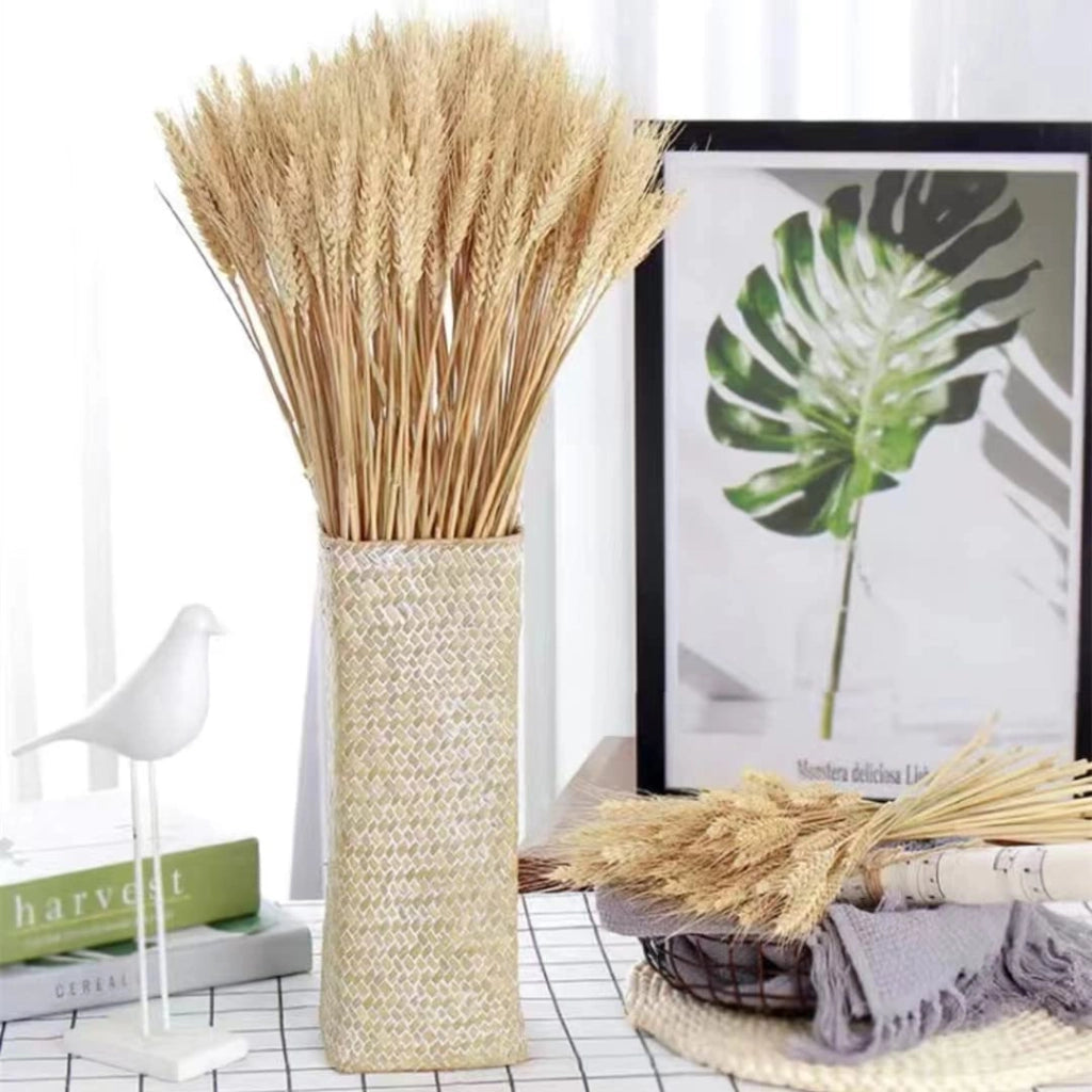 Fiori secchi – 100 steli di spighe di grano, 40 cm, naturali
