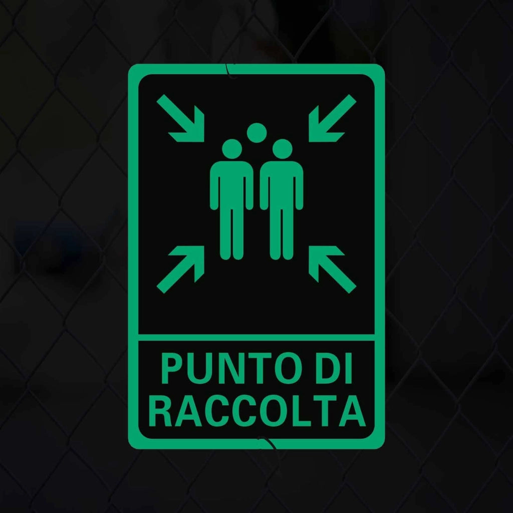 Set di 2 cartelli "Punto di raccolta", dimensioni 20x30 cm, in PVC fluorescenti