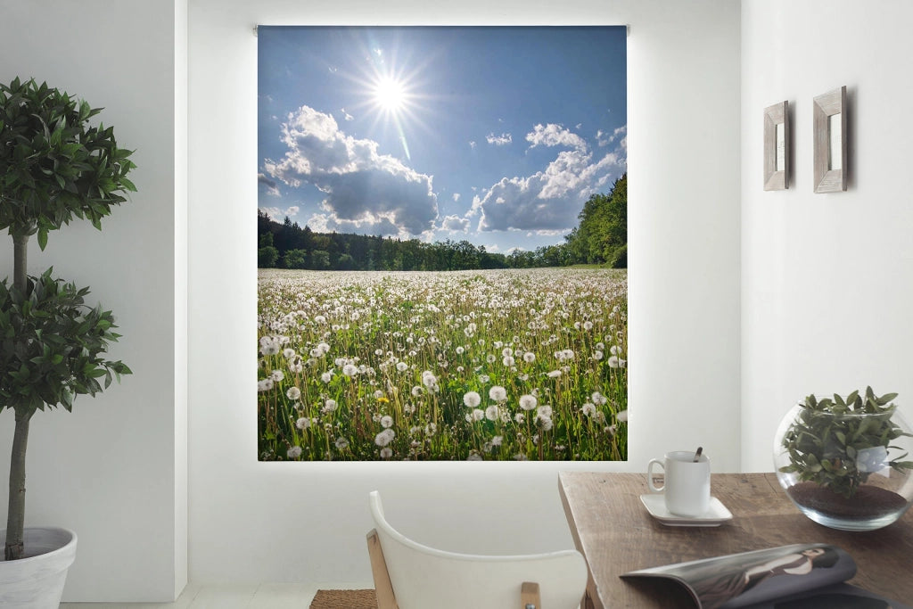 Rotolo traslucido per stampa digitale, dimensioni 130x180 cm, semitrasparente, in plastica