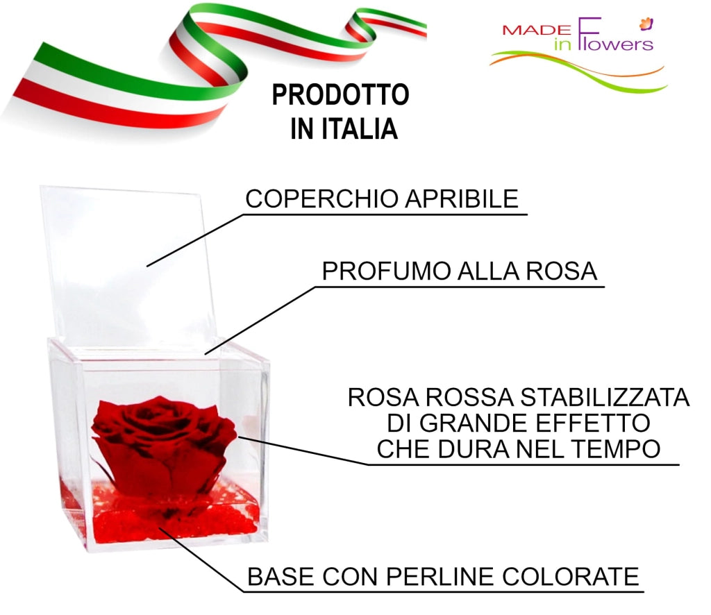 Rosa rossa stabilizzata, presentata in un cubo di plexiglass di 8x8x8 cm