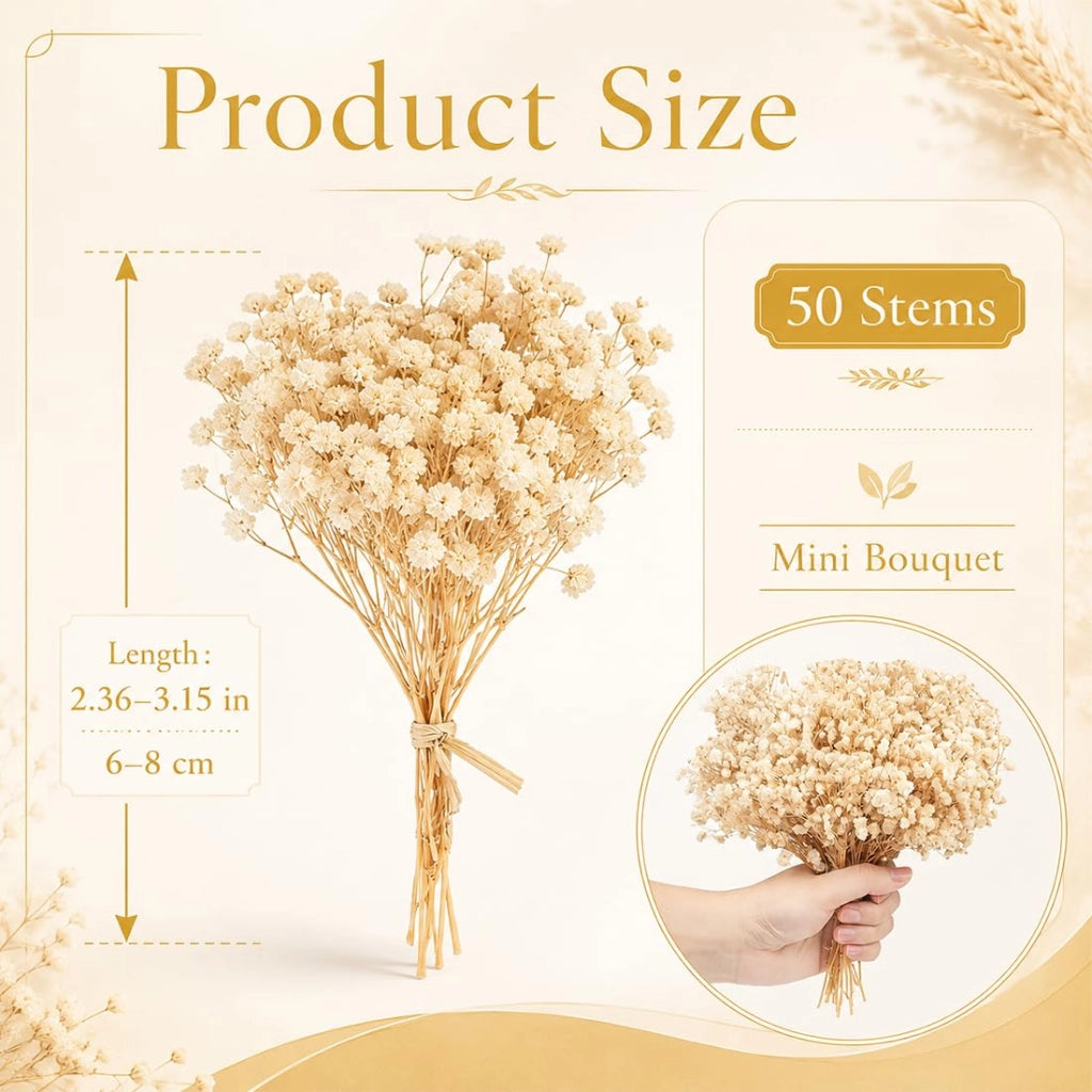 Fiori secchi, 50 pezzi, bianchi, 8-10 cm, ideali per lavori manuali e decorazioni