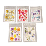 Fiori pressati, 100 pezzi, ideali per progetti fai-da-te, scrapbooking e artigianato