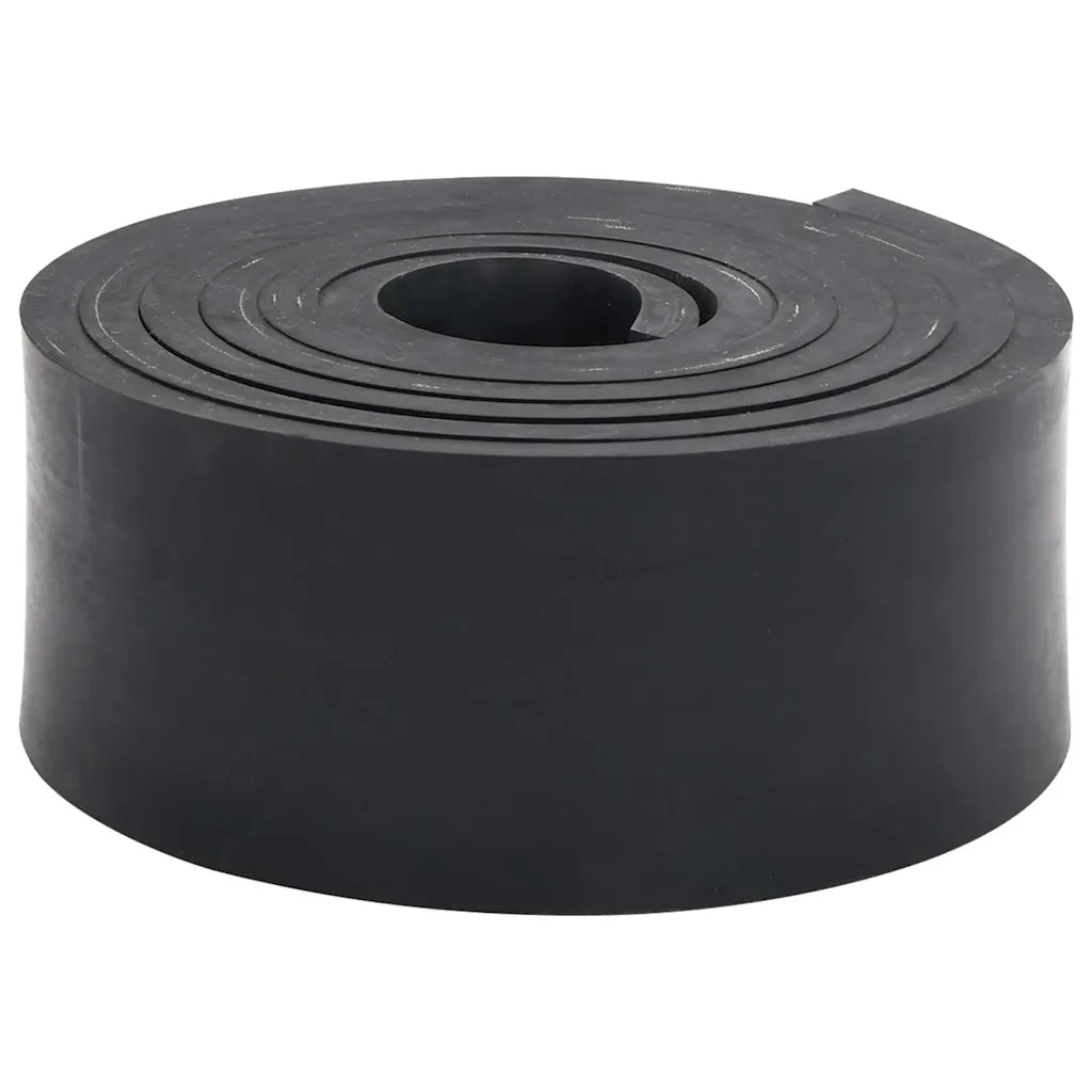 Bordo in Gomma per Spazzaneve Nero 250x10x1 cm 4103523
