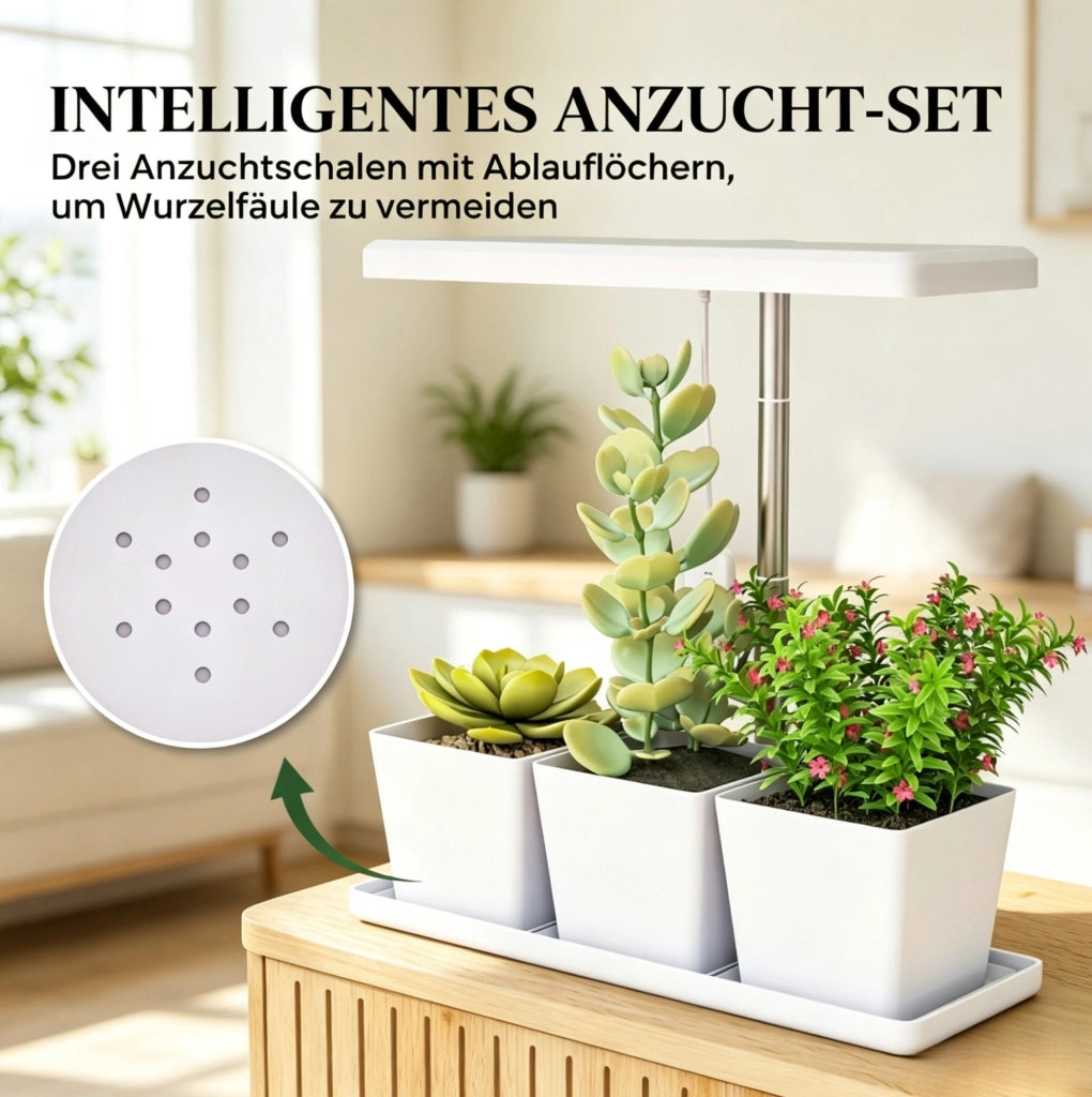 Lampada LED per piante 10 W con 3 vasi, timer e altezza regolabile
