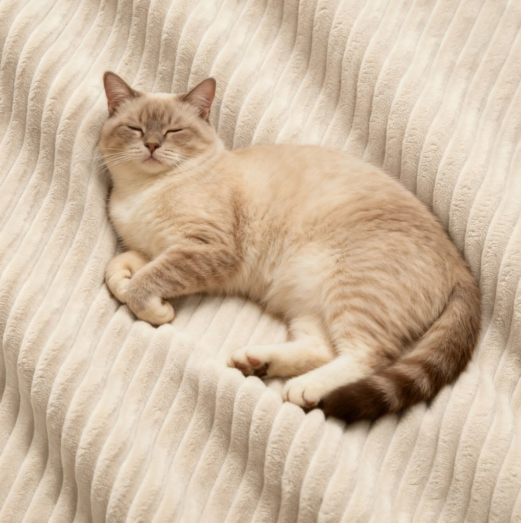 DIVANO modulare 293x177x69 cm in tessuto a coste beige