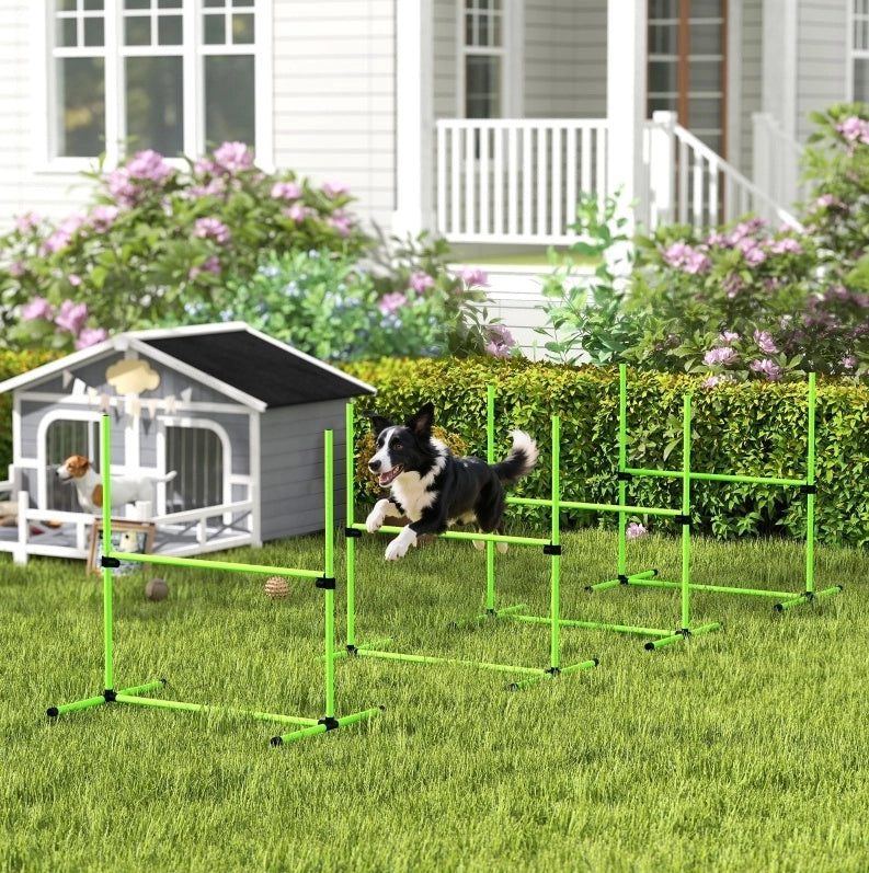 Set agility per cani regolabile in altezza con borsa, verde