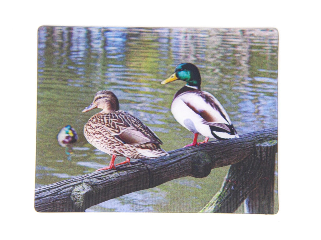 Coppia di anatre magnetiche in 3D, 9 x 7 cm, multicolore