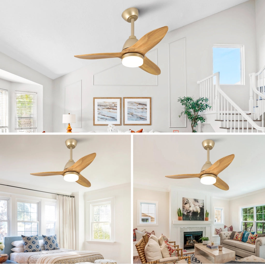 Ventilatore da soffitto 36 pollici con LED dimmerabile; 3 pale in legno massello d'acero; rovere dorato