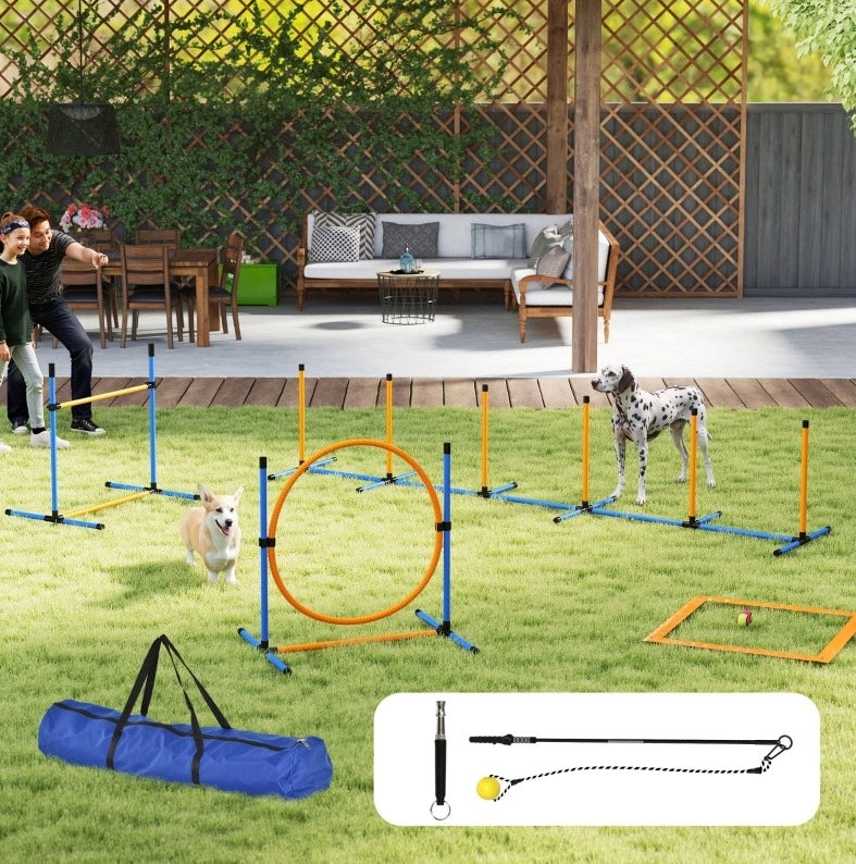 Set agility per cani con ostacolo, cerchio e pali da slalom blu