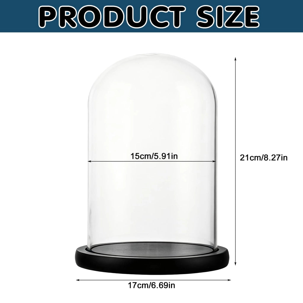 Cupola in vetro trasparente, dimensioni 15x21 cm, con base in legno