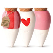3 Mini-vasi in terracotta da 12 cl – sistema automatico di irrigazione per piante