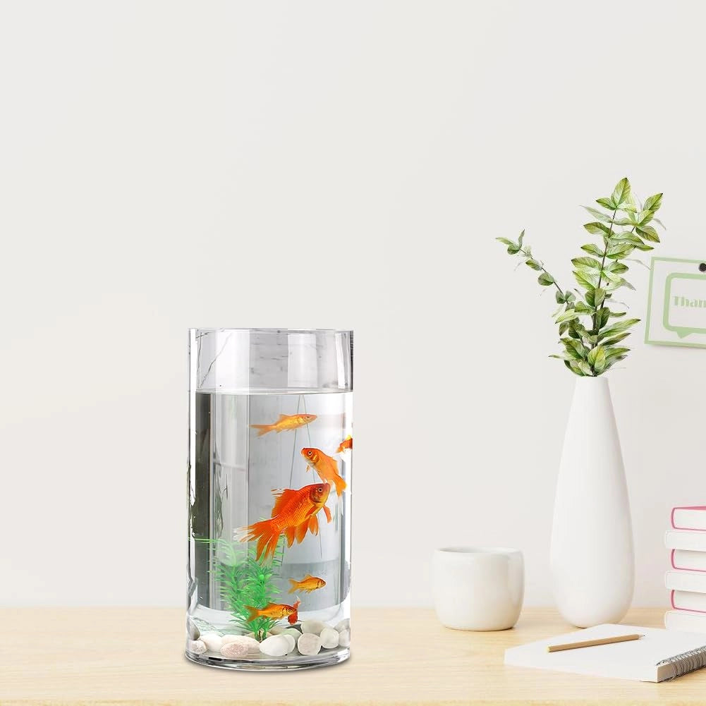 Vaso cilindrico in vetro, altezza 25 cm, trasparente, diametro 12 cm, design moderno