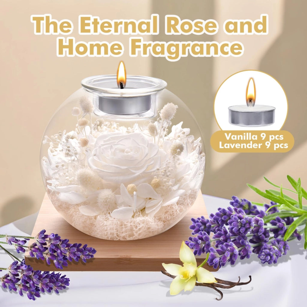 Rosa conservata in vaso di vetro, con candele profumate, colore bianco, altezza 30-32 cm, set regalo