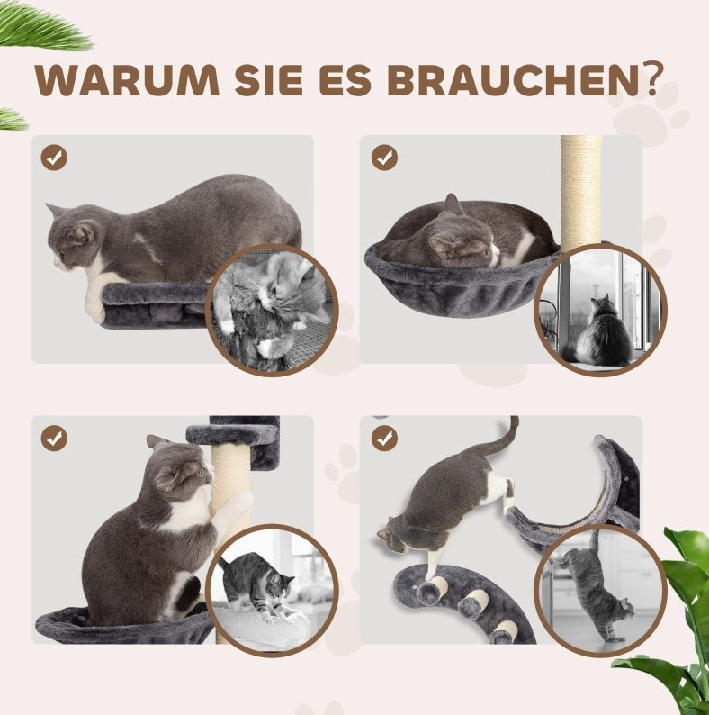 Set da parete per gatti a 4 elementi, grigio scuro, fino a 5 kg