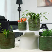 Vaso per piante in ceramica verde oliva lucido con motivo a spina di pesce