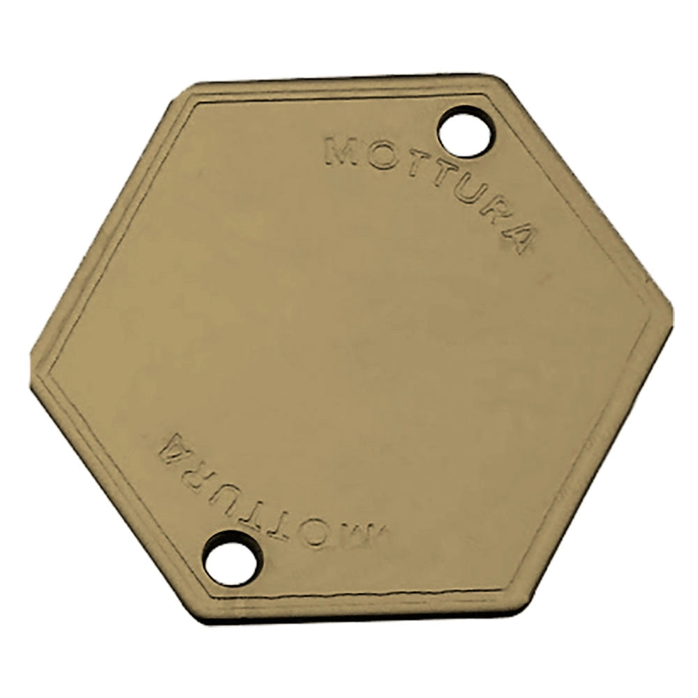 MOSTRINA COPRIFORO ART.95146 finitura ottonata