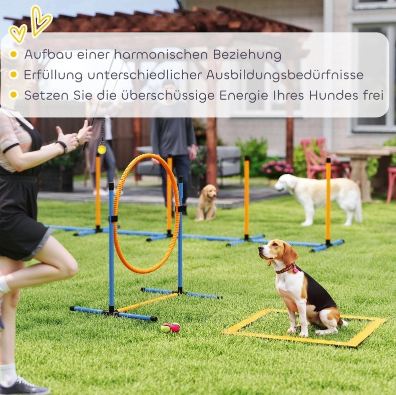Set per percorsi di agilità per cani con ostacoli regolabili