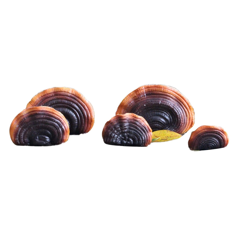 Set di 5 mensole a forma di fungo, in resina, artificiali, tipo Mini-Reishi, per cortile e giardino