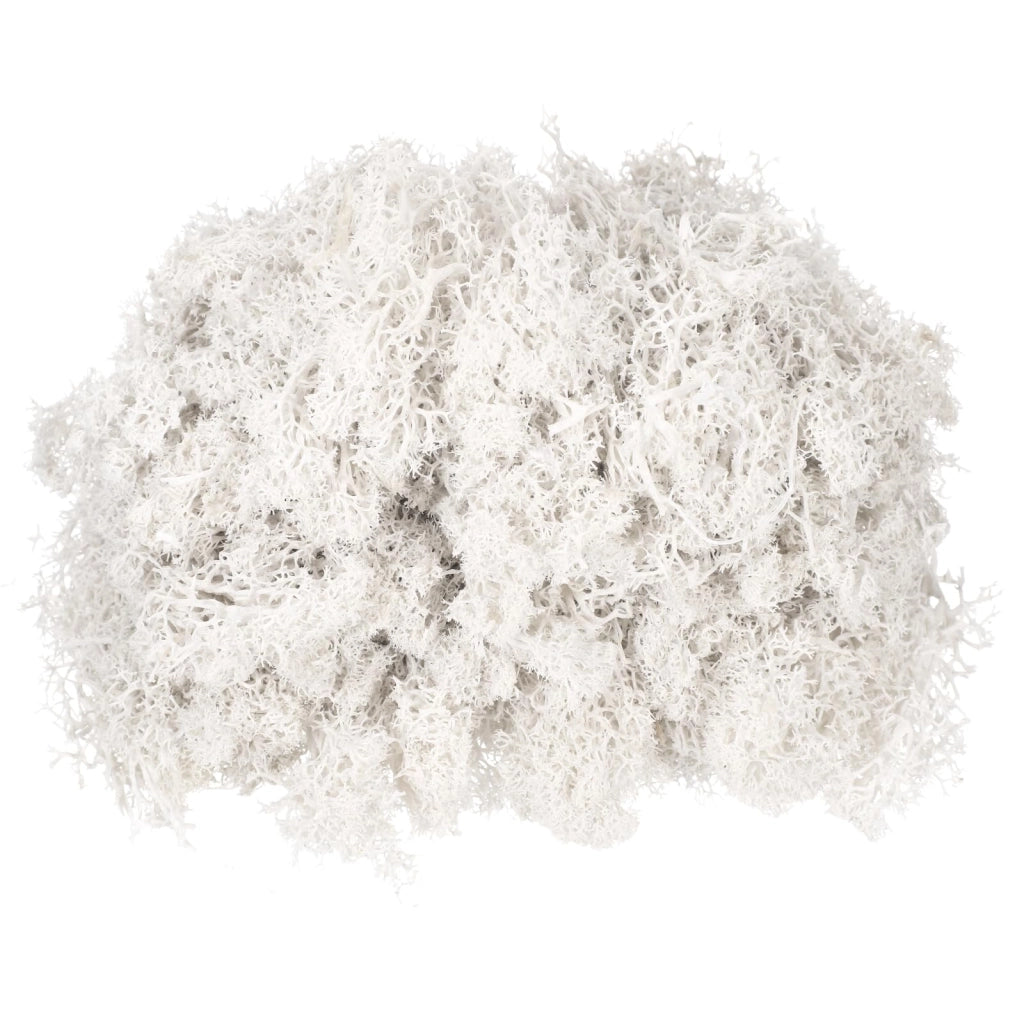 Muschio di renna conservato, bianco, 130 g, ideale per decorazioni e lavori manuali