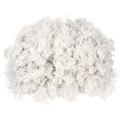 Muschio di renna conservato, bianco, 130 g, ideale per decorazioni e lavori manuali