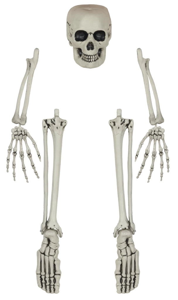 Set di ossa scheletriche, 5 pezzi, decorazione per Halloween, colore bianco