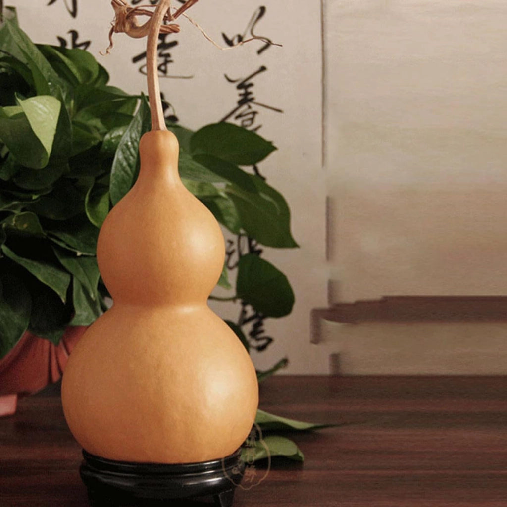 Set di 2 zucche decorative artigianali, pressate, alte 9-14 cm, ideali per la decorazione della tavola