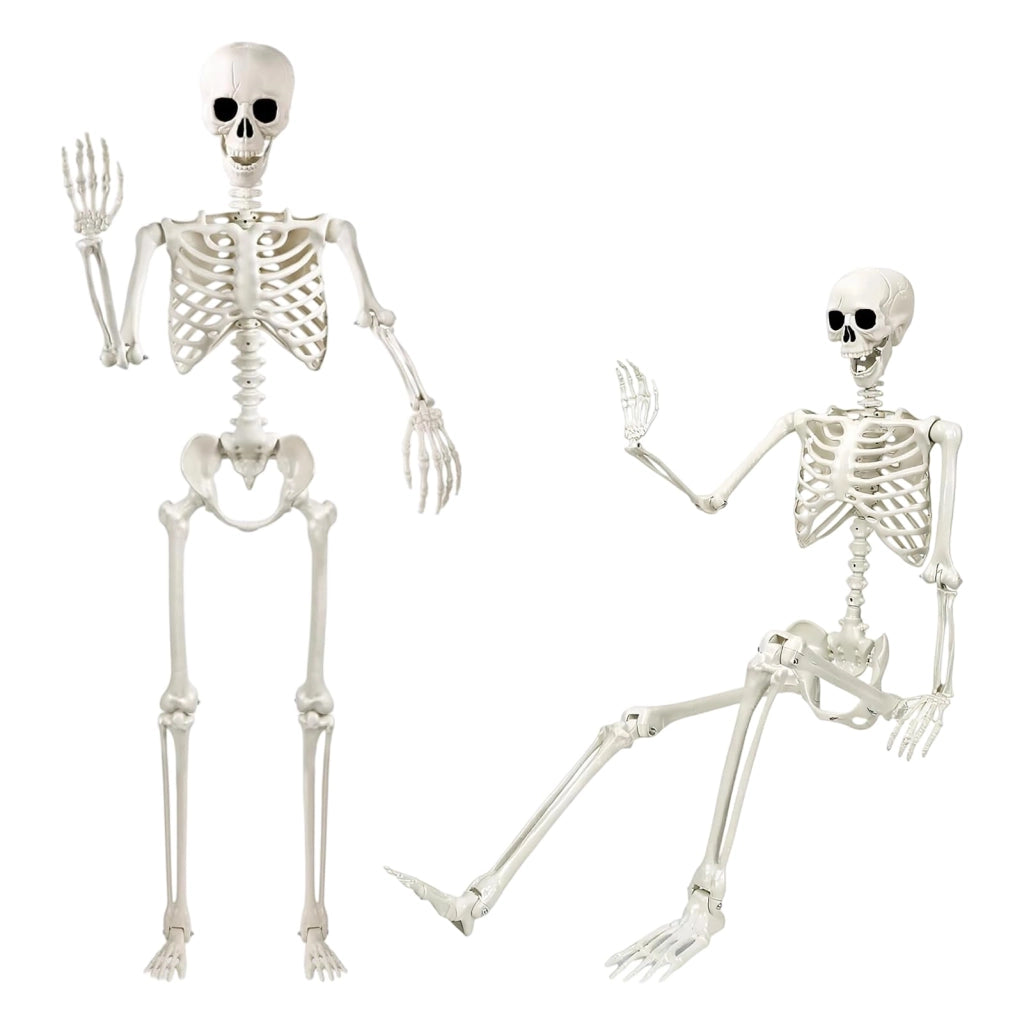 Scheletro di Halloween, 90 cm, articolazioni mobili, decorazione in plastica