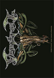 Fahne Finntroll Ice, 110x75 cm, poliestere, multicolore