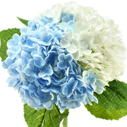 Ortensie artificiali, 2 steli, bianco/blu, 48 cm, ideali per matrimoni e decorazioni