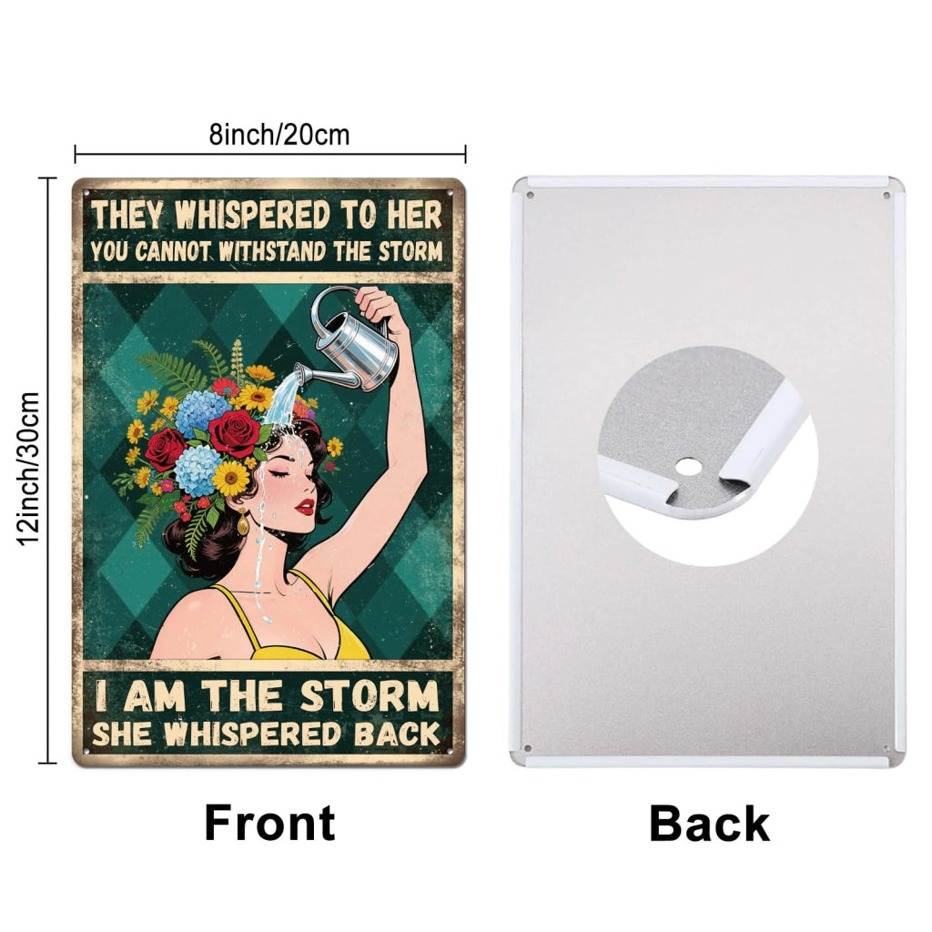 Targa metallica "I am the storm", 20x30 cm, stile vintage, metallo