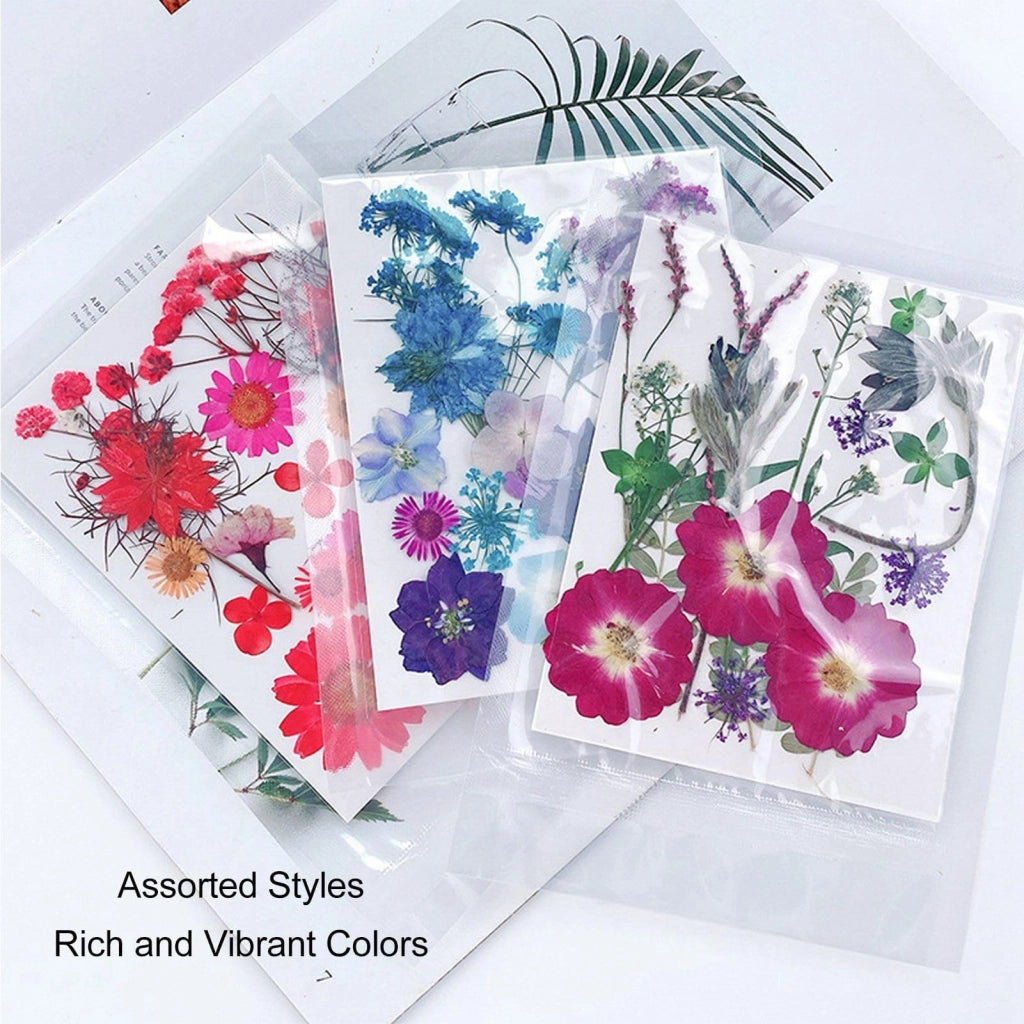 Fiori pressati, 100 pezzi, ideali per progetti fai-da-te, scrapbooking e artigianato
