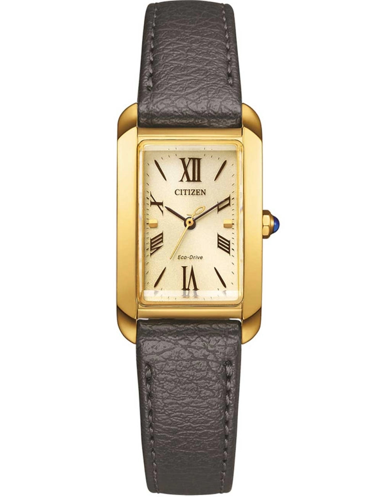CITIZEN Mod. EW5622-09P