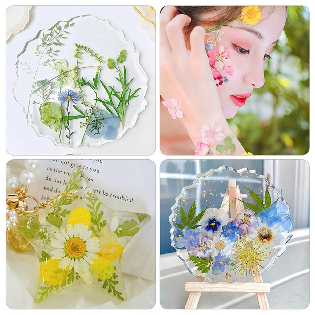 Fiori pressati, 100 pezzi, ideali per progetti fai-da-te, scrapbooking e artigianato