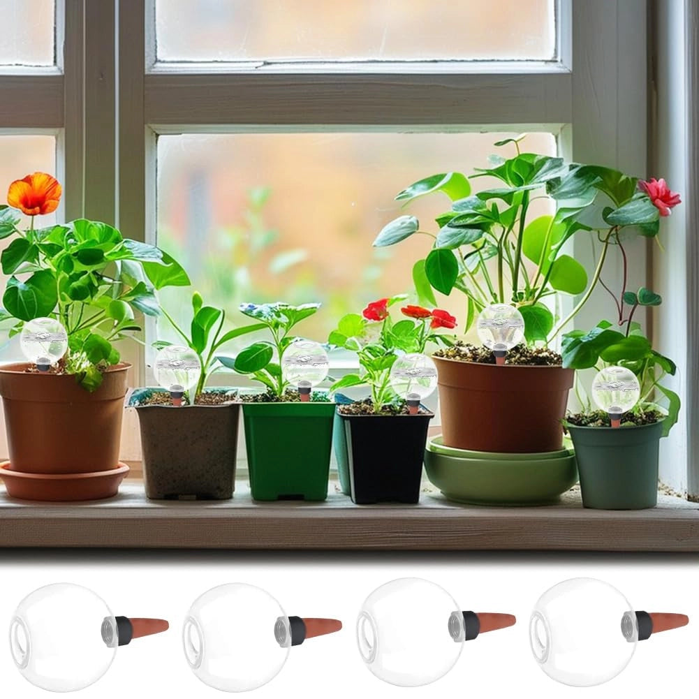 Set di 2 sfere per irrigazione, capacità 500 ml, trasparenti, con sistema di irrigazione automatico
