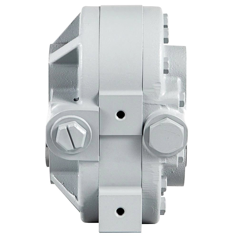 Pompa Idraulica ad Ingranaggi 16,6 GPM 540 Giri/min 2500 PSI in Ghisa Robusta e Durevole per Spaccalegna e Sollevatori