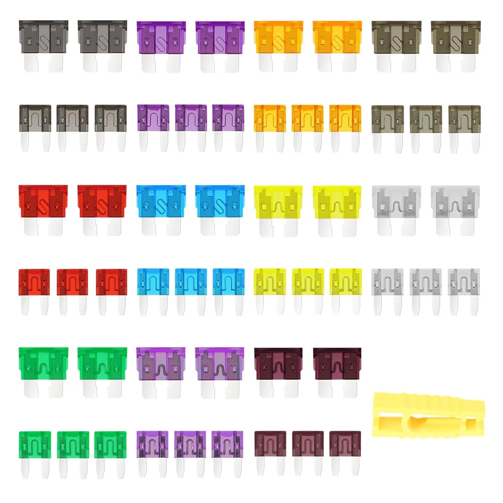 Kit di fusibili mini, 55 pezzi, 11 specifiche, da 2A a 40A, con estrattore