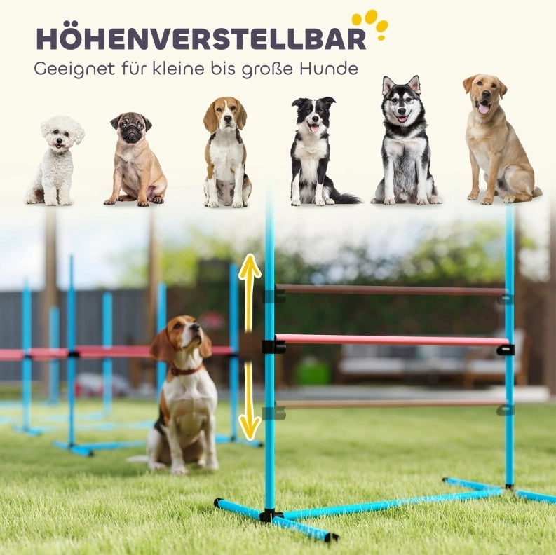 Set agility per cani regolabile in altezza, azzurro, con borsa