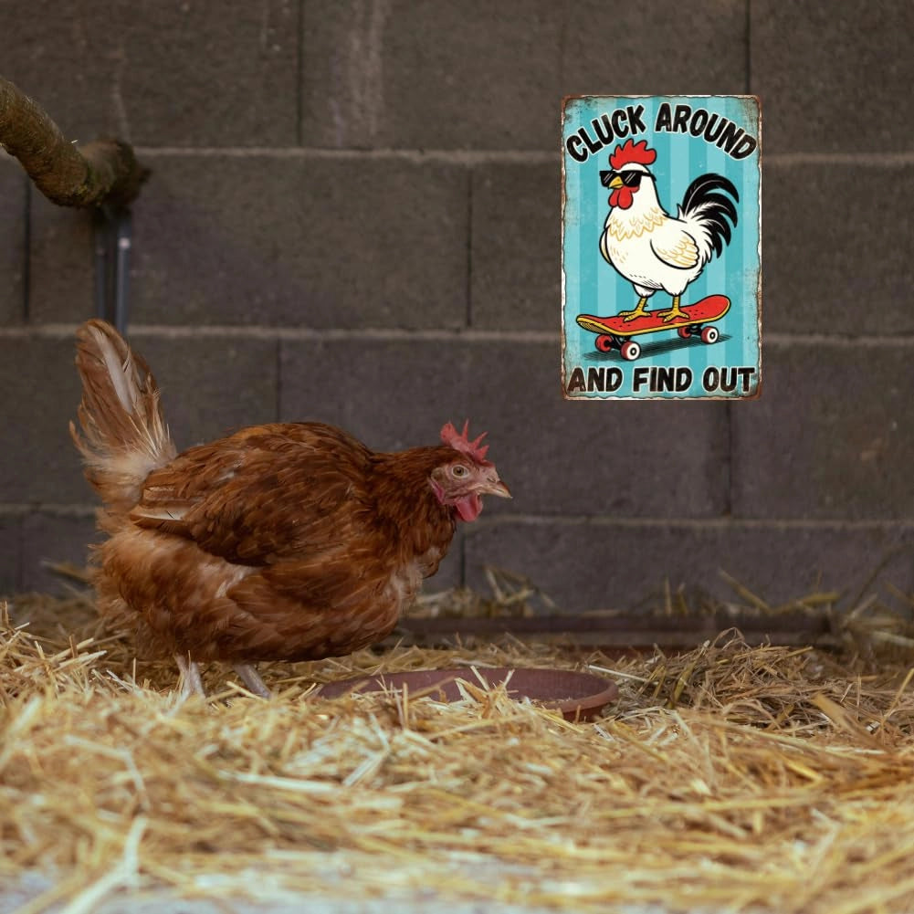 Targa in metallo a forma di gallina, per skateboard, dimensioni 20x30 cm, stile vintage, con elementi umoristici