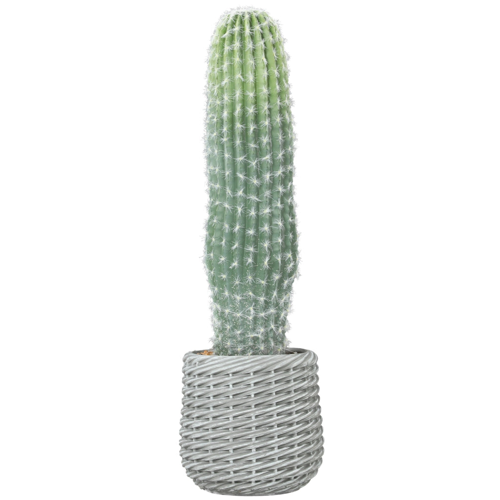 Pianta Artificiale Cactus ¨C zephmum ¨C Verde 66 cm