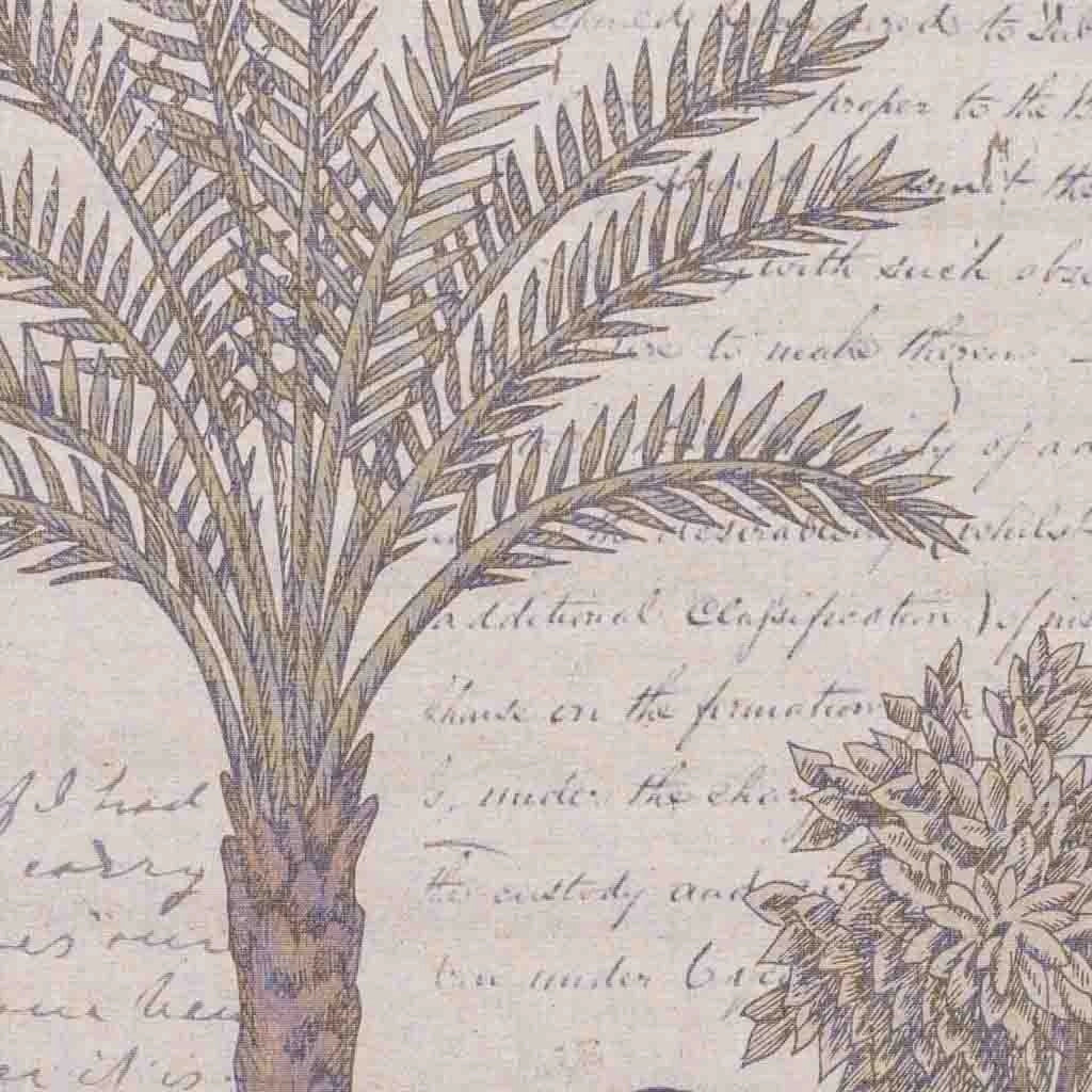 Tela stampata in pergamena