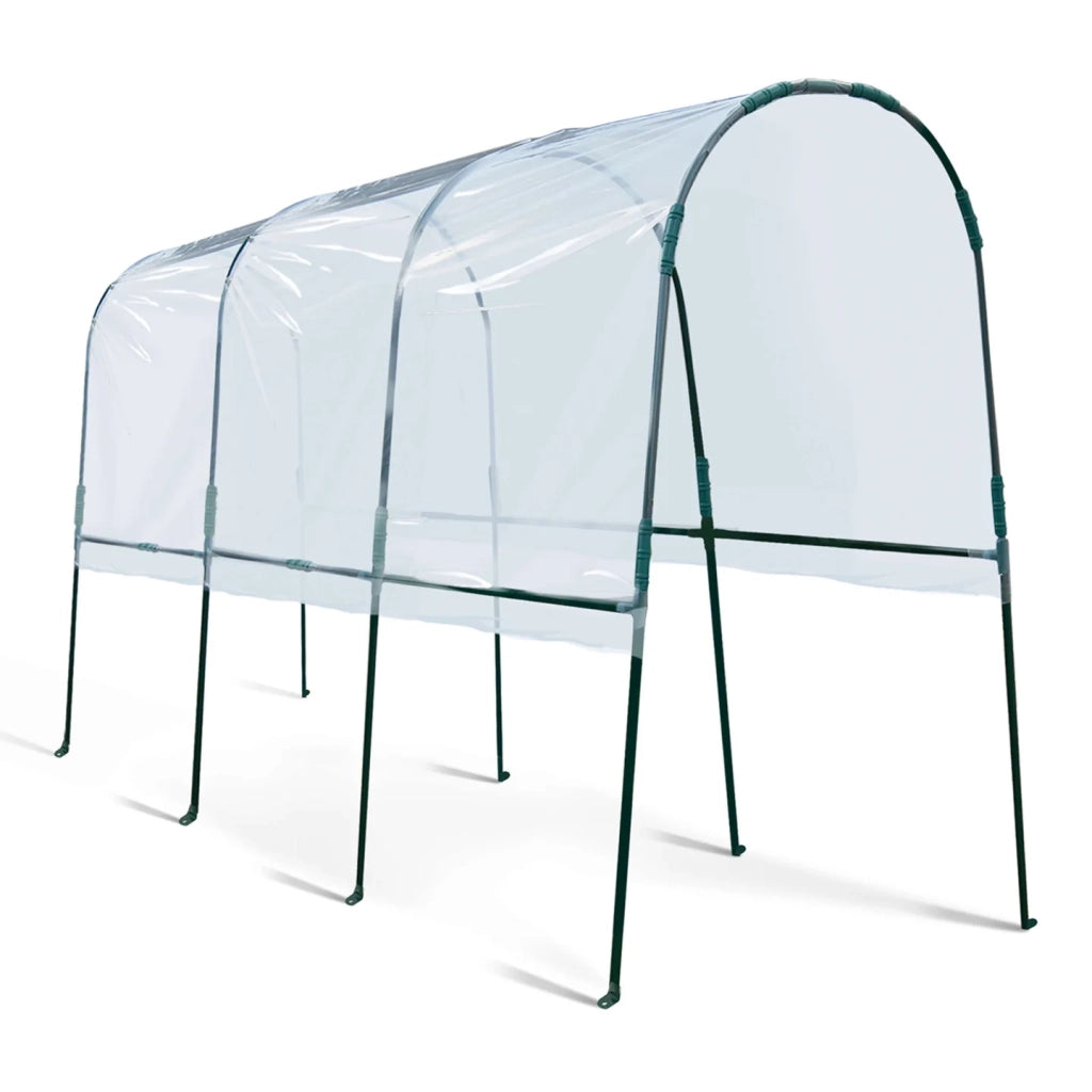 ProBache - Serra da giardino per pomodori 400 x 120 x 170 cm con telo trasparente + archi in acciaio
